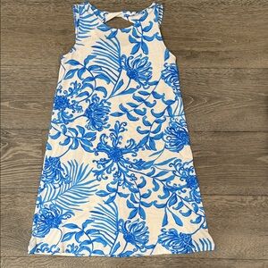 Lilly Pulitzer Blue and Cream Floral Mini Dress
